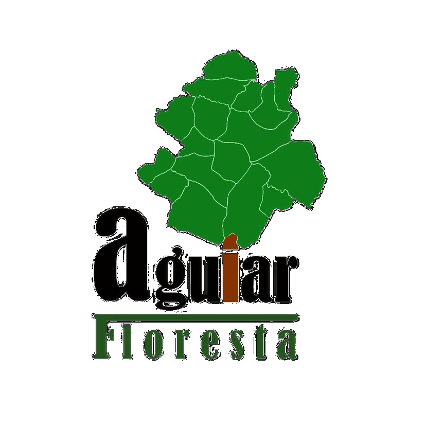 AGUIARFLORESTA
